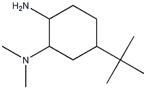 N-(2-amino-5-tert-butylcyclohexyl)-N,N-dimethylamine