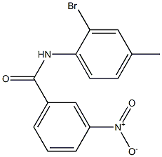 N-(2-bromo-4-methylphenyl)-3-nitrobenzamide Structure