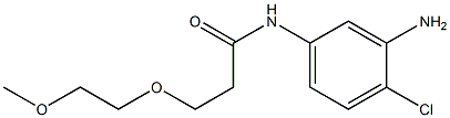 N-(3-amino-4-chlorophenyl)-3-(2-methoxyethoxy)propanamide 结构式