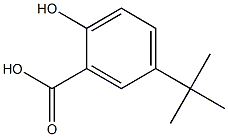 5-TERTBUTYLSALICYCLICACID Struktur