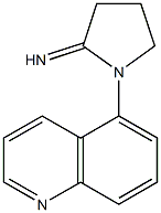1-(quinolin-5-yl)pyrrolidin-2-imine Struktur
