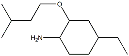  4-ethyl-2-(3-methylbutoxy)cyclohexan-1-amine