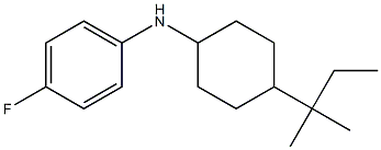 4-fluoro-N-[4-(2-methylbutan-2-yl)cyclohexyl]aniline 化学構造式
