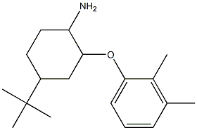 4-tert-butyl-2-(2,3-dimethylphenoxy)cyclohexan-1-amine Structure