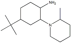 4-tert-butyl-2-(2-methylpiperidin-1-yl)cyclohexan-1-amine