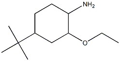 4-tert-butyl-2-ethoxycyclohexanamine
