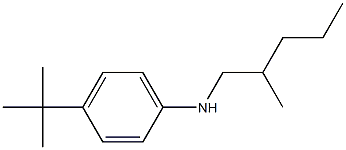 4-tert-butyl-N-(2-methylpentyl)aniline