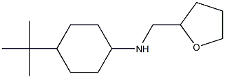 4-tert-butyl-N-(oxolan-2-ylmethyl)cyclohexan-1-amine Structure