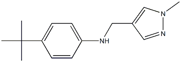 4-tert-butyl-N-[(1-methyl-1H-pyrazol-4-yl)methyl]aniline Structure
