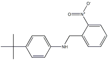 4-tert-butyl-N-[(2-nitrophenyl)methyl]aniline Struktur