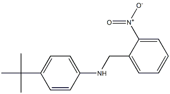 4-tert-butyl-N-[(2-nitrophenyl)methyl]aniline