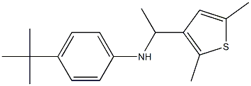 4-tert-butyl-N-[1-(2,5-dimethylthiophen-3-yl)ethyl]aniline