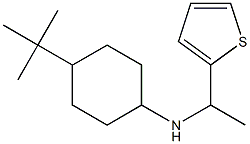 4-tert-butyl-N-[1-(thiophen-2-yl)ethyl]cyclohexan-1-amine 化学構造式