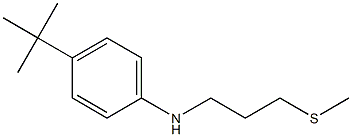 4-tert-butyl-N-[3-(methylsulfanyl)propyl]aniline|