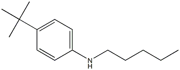 4-tert-butyl-N-pentylaniline Structure