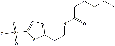 5-(2-hexanamidoethyl)thiophene-2-sulfonyl chloride 结构式