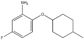 5-fluoro-2-[(4-methylcyclohexyl)oxy]aniline