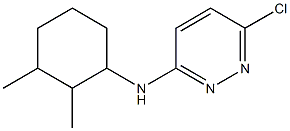 6-chloro-N-(2,3-dimethylcyclohexyl)pyridazin-3-amine Structure