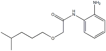 N-(2-aminophenyl)-2-[(4-methylpentyl)oxy]acetamide