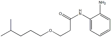N-(2-aminophenyl)-3-[(4-methylpentyl)oxy]propanamide Struktur