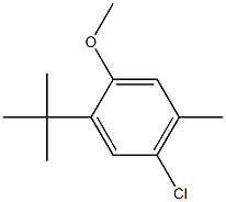 1-tert-Butyl-5-chloro-2-methoxy-4-methyl-benzene Struktur