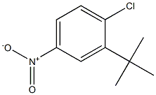 2-tert-Butyl-1-chloro-4-nitro-benzene 结构式