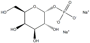 a-D-Galactose-1-phosphatedisodiumsalt