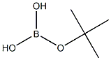 tert-butylboric acid