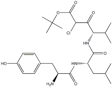 tert-butoxycarbonyl-tyrosyl-leucyl-valyl-chloromethane