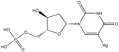 5-mercurideoxyuridine monophosphate Struktur