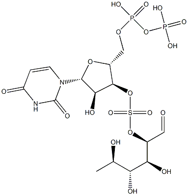 uridine diphosphate sulfoquinovose Structure