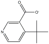 TERT-BUTYLNICOTINATE 化学構造式