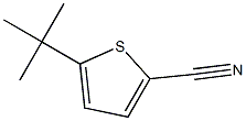 5-TERT-BUTYLTHIOPHENE-2-CARBONTRILE 结构式