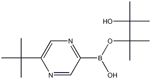 5-(TERT-BUTYL)PYRAZINE-2-BORONIC ACID PINACOL ESTER