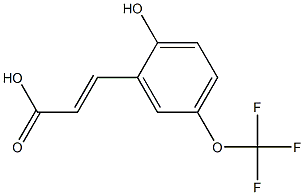 (E)-3-(2-hydroxy-5-(trifluoromethoxy)phenyl)acrylic acid Structure