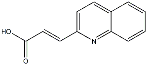 (E)-3-(quinolin-2-yl)acrylic acid
