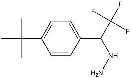 1-(1-(4-tert-butylphenyl)-2,2,2-trifluoroethyl)hydrazine Structure