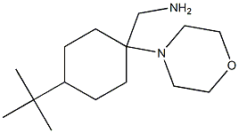 (4-tert-butyl-1-morpholin-4-ylcyclohexyl)methylamine