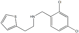 [(2,4-dichlorophenyl)methyl][2-(thiophen-2-yl)ethyl]amine Structure
