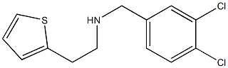 [(3,4-dichlorophenyl)methyl][2-(thiophen-2-yl)ethyl]amine Structure