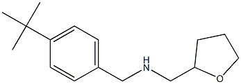 [(4-tert-butylphenyl)methyl](oxolan-2-ylmethyl)amine Structure