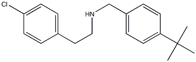  [(4-tert-butylphenyl)methyl][2-(4-chlorophenyl)ethyl]amine