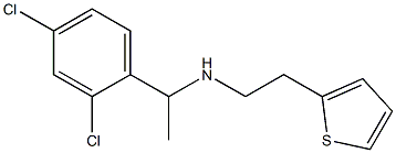 [1-(2,4-dichlorophenyl)ethyl][2-(thiophen-2-yl)ethyl]amine Structure