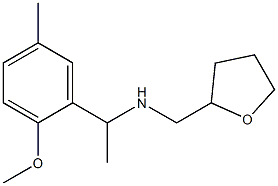 [1-(2-methoxy-5-methylphenyl)ethyl](oxolan-2-ylmethyl)amine Structure