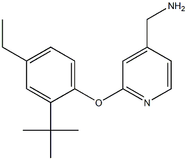 [2-(2-tert-butyl-4-ethylphenoxy)pyridin-4-yl]methanamine Struktur