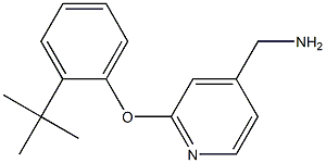  [2-(2-tert-butylphenoxy)pyridin-4-yl]methylamine