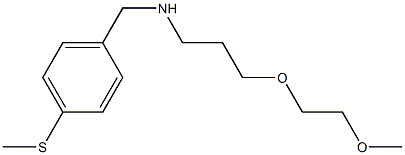 [3-(2-methoxyethoxy)propyl]({[4-(methylsulfanyl)phenyl]methyl})amine
