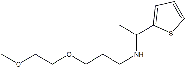 [3-(2-methoxyethoxy)propyl][1-(thiophen-2-yl)ethyl]amine|