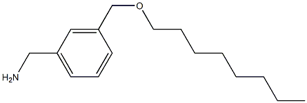 {3-[(octyloxy)methyl]phenyl}methanamine Structure