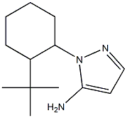 1-(2-tert-butylcyclohexyl)-1H-pyrazol-5-amine Struktur